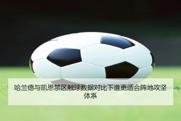 哈兰德与凯恩禁区触球数据对比下谁更适合阵地攻坚体系